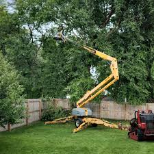 Best Tree Mulching  in South Farmingdale, NY